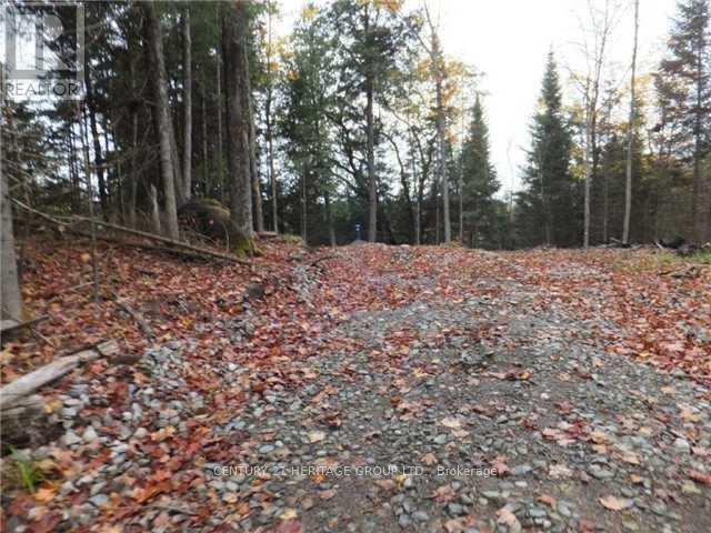 1646 Kennisis Lake Road, Dysart Et Al (Guilford), Ontario  K0L 1S0 - Photo 8 - X12123055