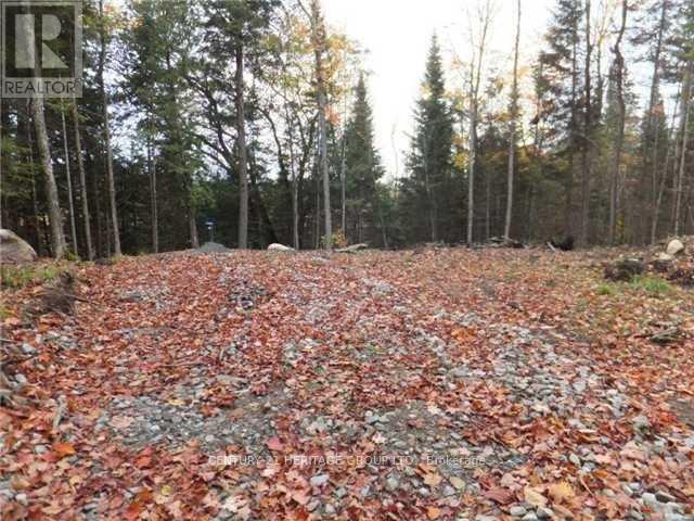 1646 Kennisis Lake Road, Dysart Et Al (Guilford), Ontario  K0L 1S0 - Photo 9 - X12123055