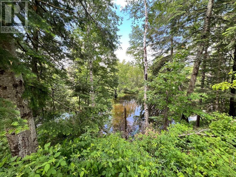 76 York River Drive, Bancroft (Bancroft Ward), Ontario  K0L 1C0 - Photo 41 - X12123572
