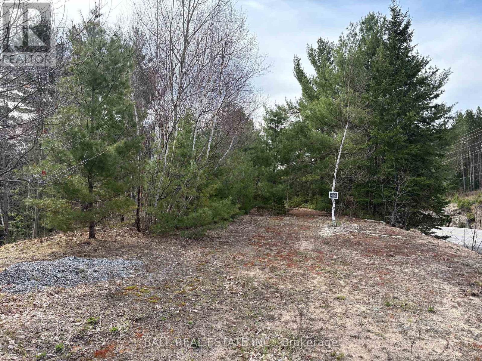 0 Highway 28, Bancroft (Dungannon Ward), Ontario  K0L 1C0 - Photo 3 - X12124642