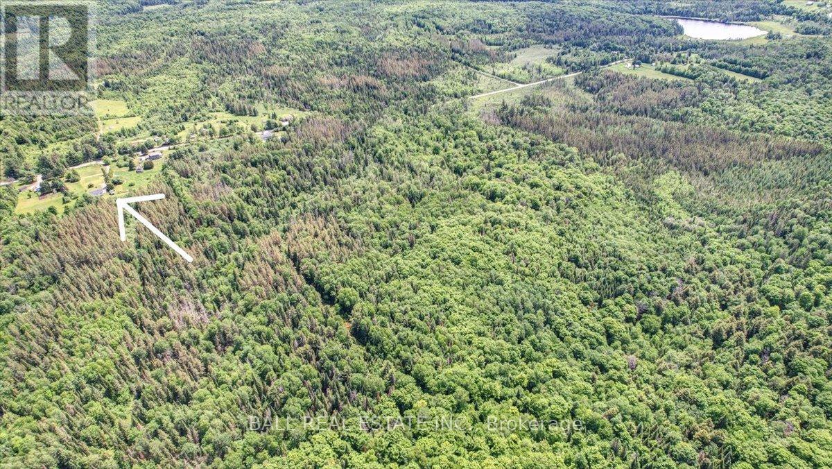 384 Scott Line Road, Hastings Highlands (Herschel Ward), Ontario  K0L 2S0 - Photo 10 - X12124757