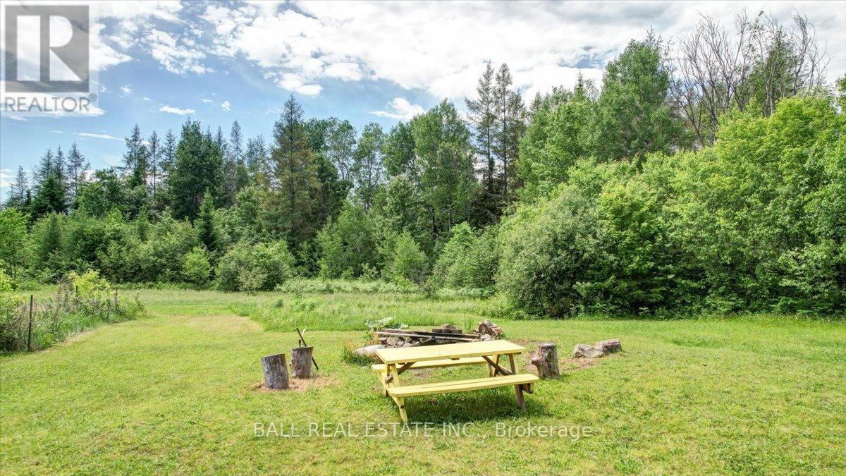 384 Scott Line Road, Hastings Highlands (Herschel Ward), Ontario  K0L 2S0 - Photo 5 - X12124757