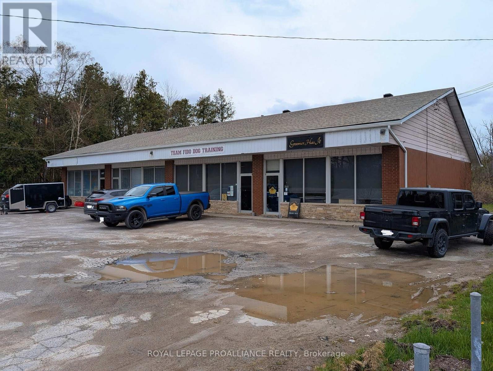 3165 Lakefield Road, Selwyn, Ontario  K0L 2H0 - Photo 3 - X12124841