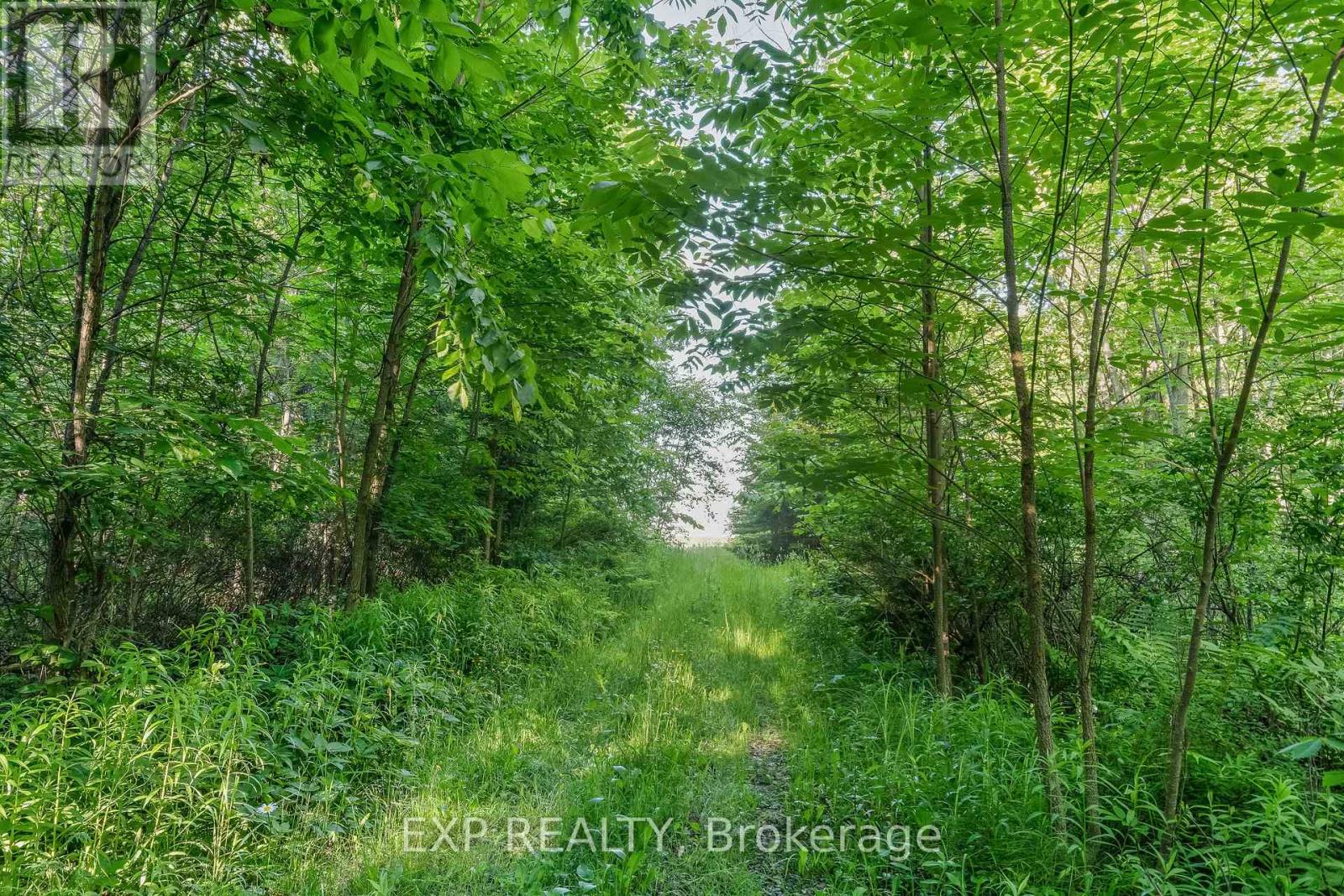 1585 County 46 Road, Havelock-Belmont-Methuen (Belmont-Methuen), Ontario  K0L 1Z0 - Photo 47 - X12126159