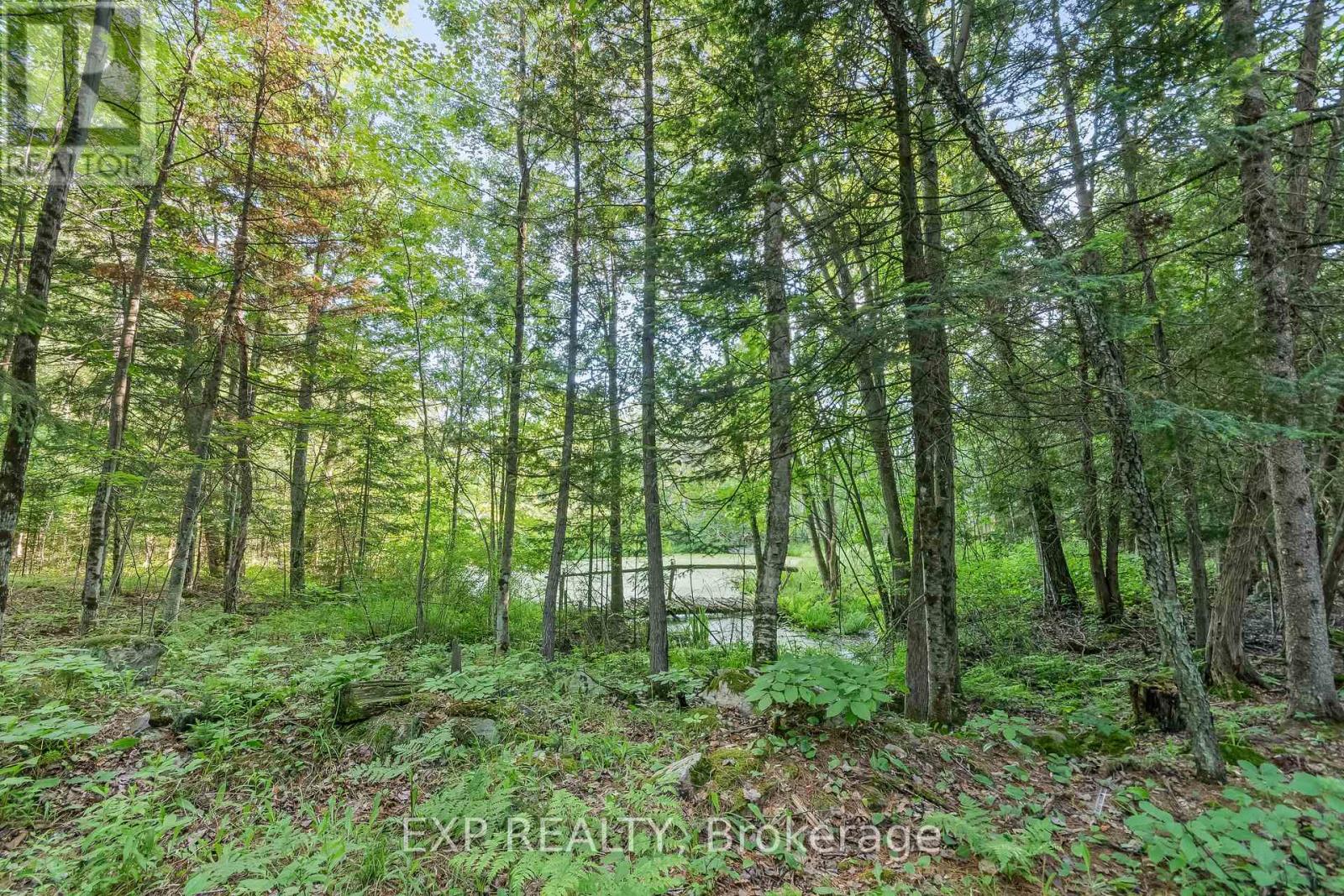 1585 County 46 Road, Havelock-Belmont-Methuen (Belmont-Methuen), Ontario  K0L 1Z0 - Photo 48 - X12126159