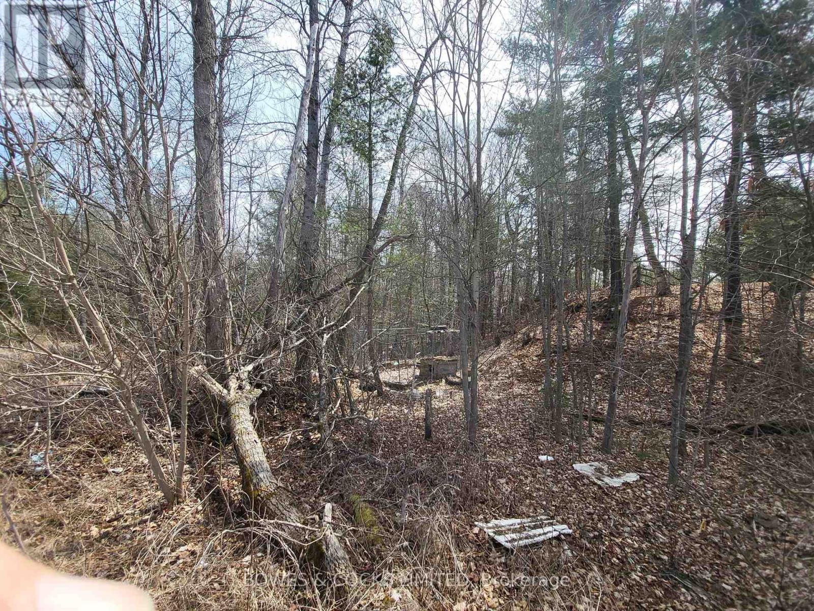 26642 Highway 62 S, Bancroft (Dungannon Ward), Ontario  K0L 2L0 - Photo 13 - X12126557