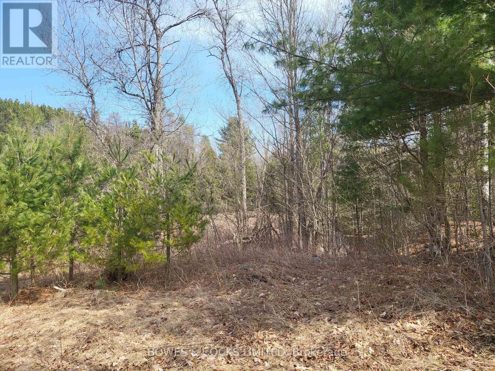 26642 Highway 62 S, Bancroft (Dungannon Ward), Ontario  K0L 2L0 - Photo 17 - X12126557
