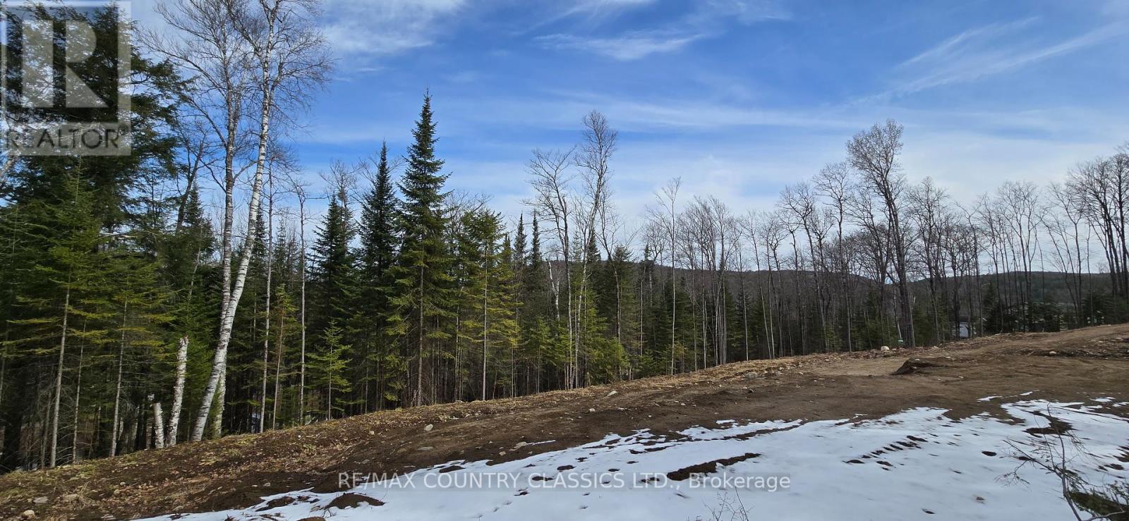 30 Ridge Road, Bancroft (Bancroft Ward), Ontario  K0L 1C0 - Photo 17 - X12126997