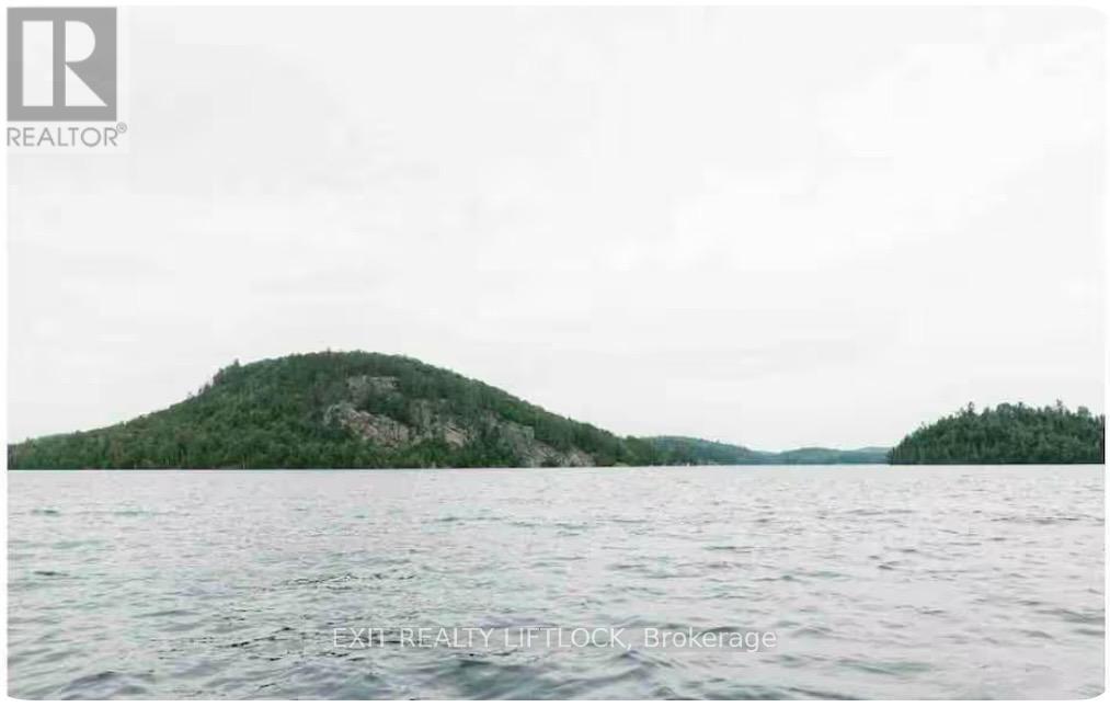1519 North Baptiste Lake Road, Hastings Highlands (Herschel Ward), Ontario  K0L 2S0 - Photo 4 - X12127010