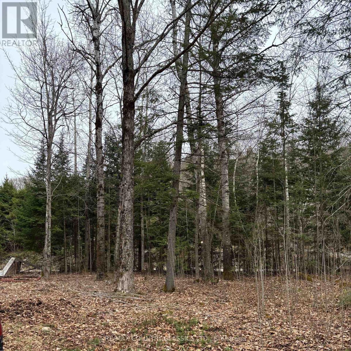 2725 Musclow-Greenview Road, Hastings Highlands (Monteagle Ward), Ontario  K0L 1C0 - Photo 10 - X12127282