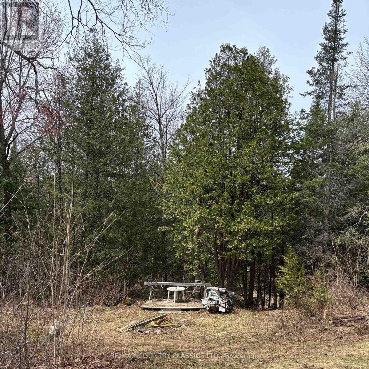 2725 Musclow-Greenview Road, Hastings Highlands (Monteagle Ward), Ontario  K0L 1C0 - Photo 11 - X12127282
