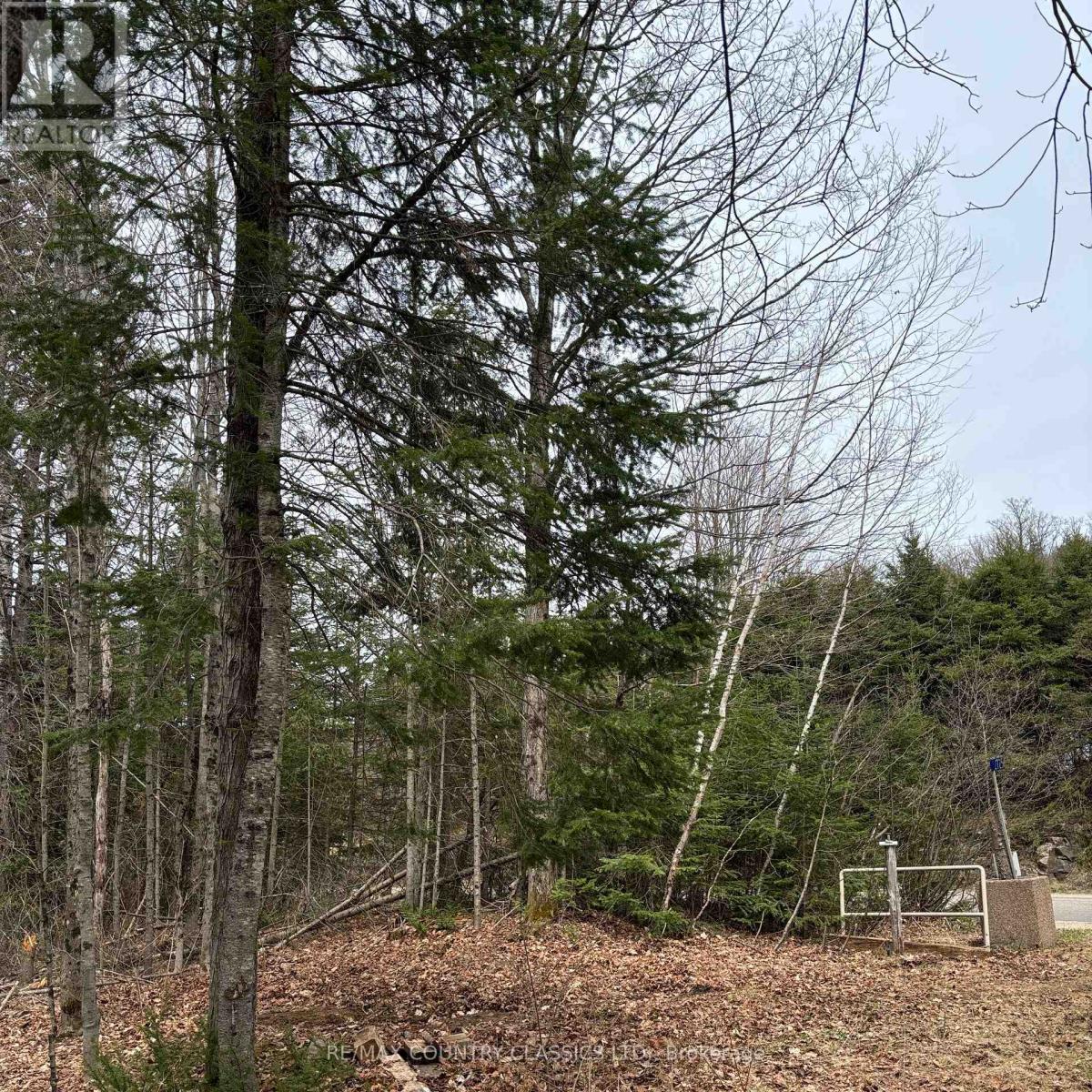 2725 Musclow-Greenview Road, Hastings Highlands (Monteagle Ward), Ontario  K0L 1C0 - Photo 12 - X12127282