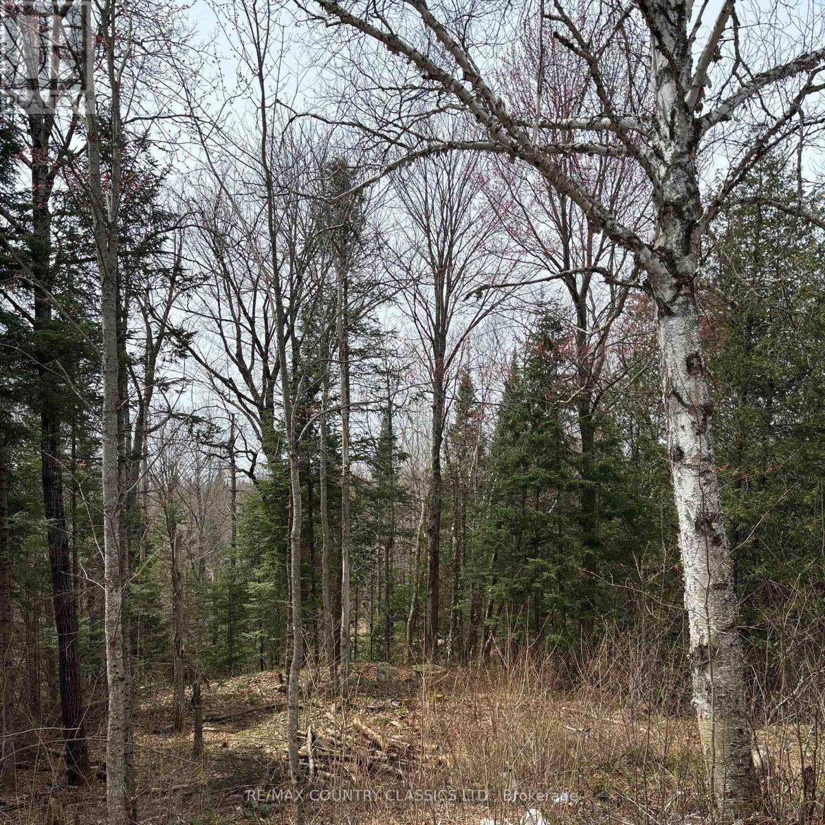 2725 Musclow-Greenview Road, Hastings Highlands (Monteagle Ward), Ontario  K0L 1C0 - Photo 13 - X12127282