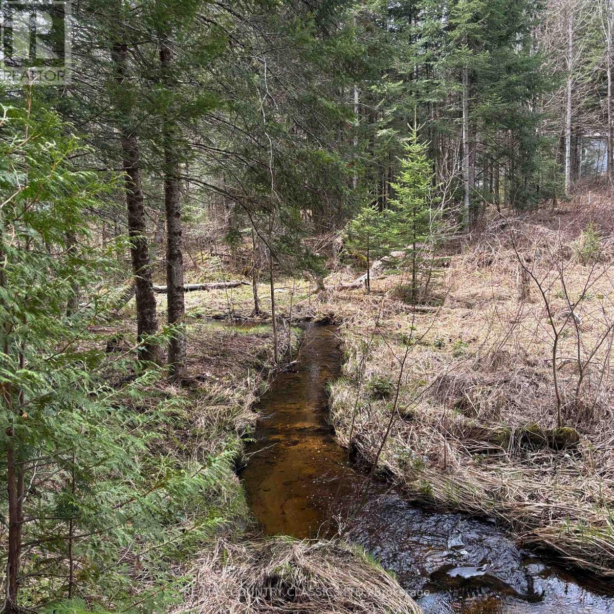 2725 Musclow-Greenview Road, Hastings Highlands (Monteagle Ward), Ontario  K0L 1C0 - Photo 14 - X12127282