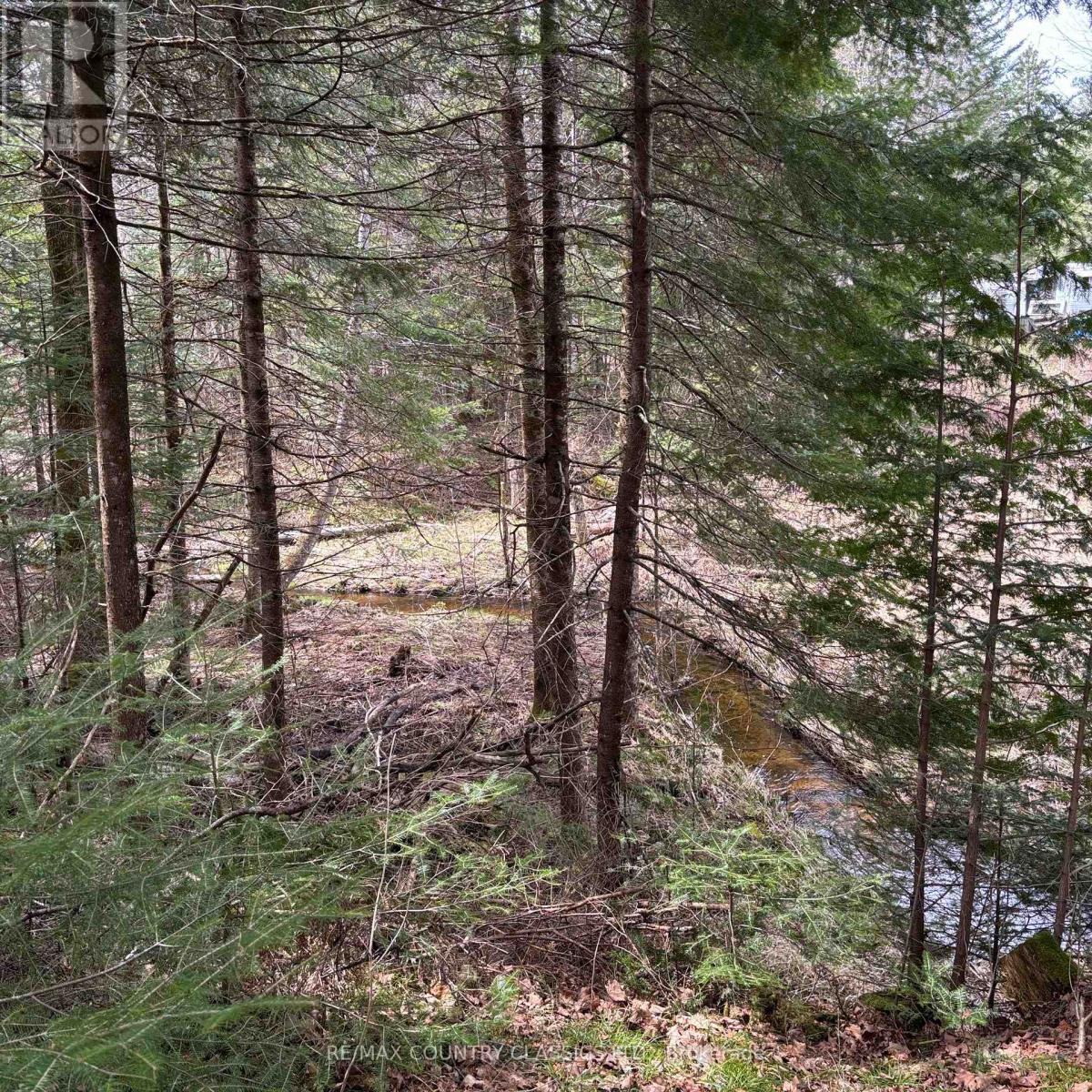 2725 Musclow-Greenview Road, Hastings Highlands (Monteagle Ward), Ontario  K0L 1C0 - Photo 15 - X12127282
