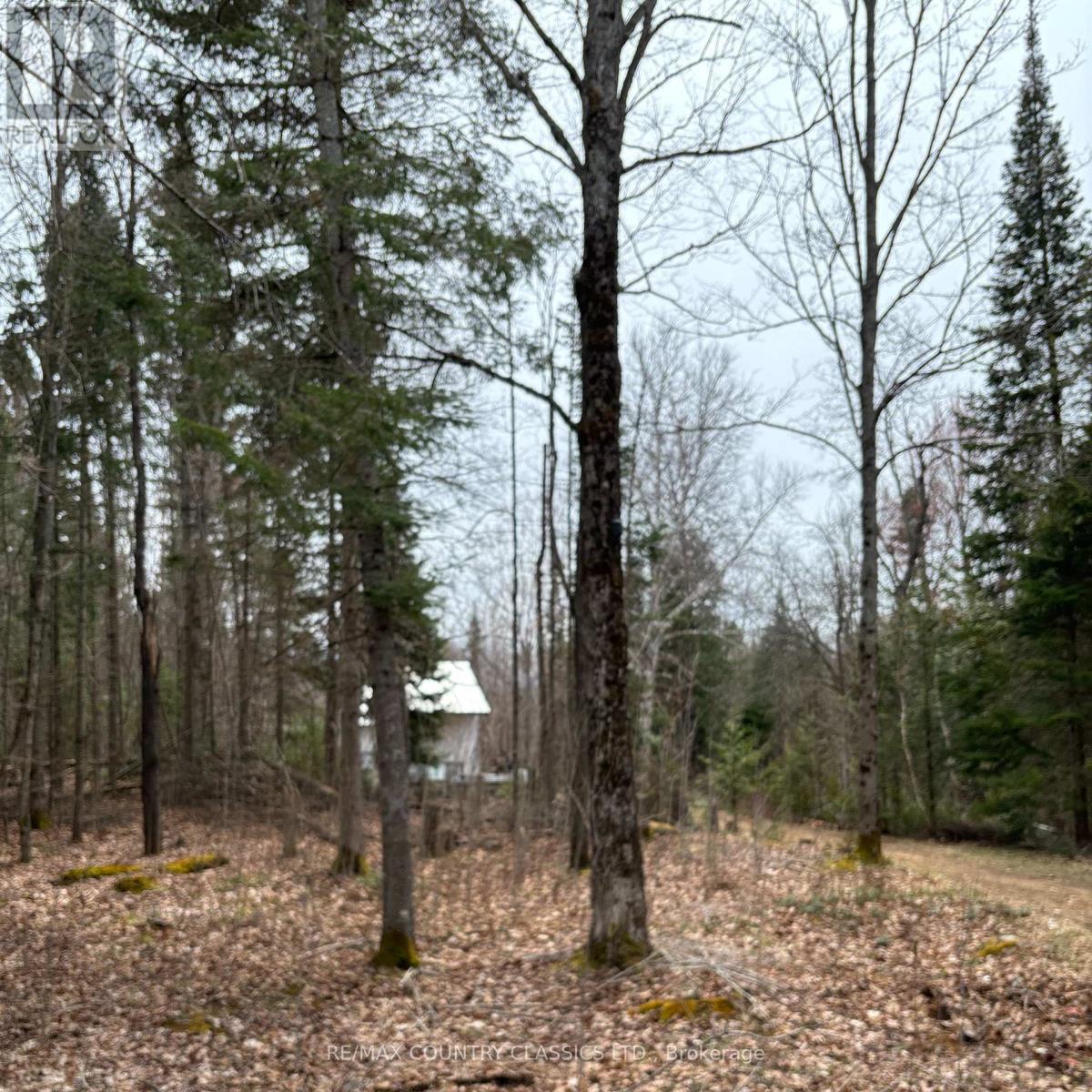 2725 Musclow-Greenview Road, Hastings Highlands (Monteagle Ward), Ontario  K0L 1C0 - Photo 4 - X12127282