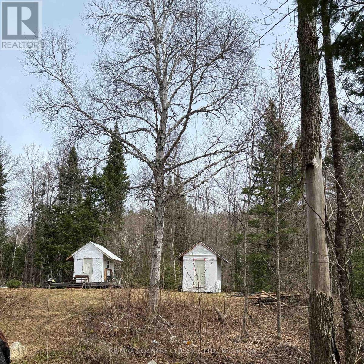 2725 Musclow-Greenview Road, Hastings Highlands (Monteagle Ward), Ontario  K0L 1C0 - Photo 6 - X12127282