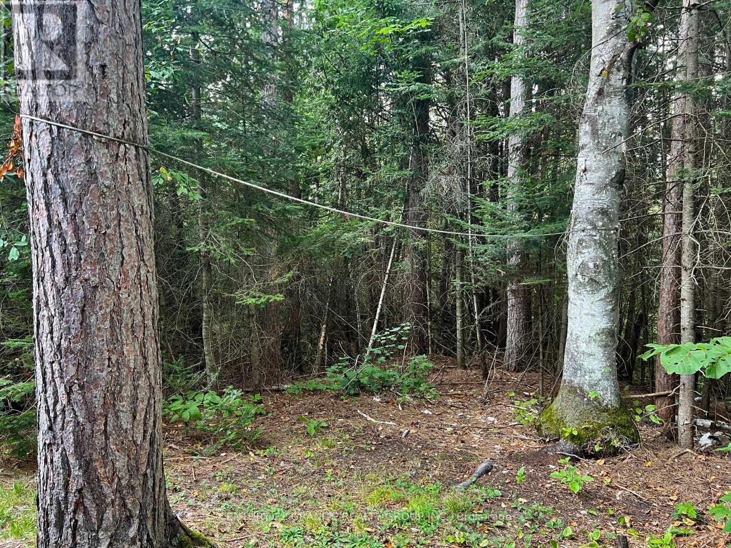 261 Browns Road, Lyndoch And Raglan, Ontario  K0L 1G0 - Photo 30 - X12128288