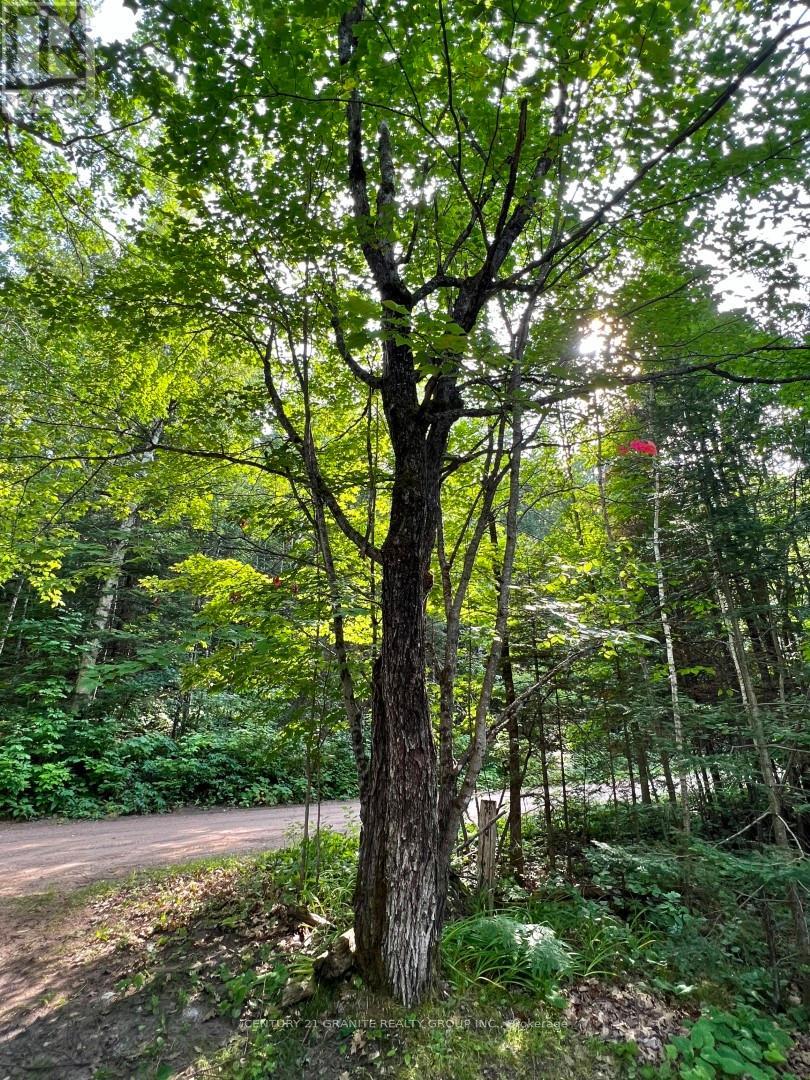 261 Browns Road, Lyndoch And Raglan, Ontario  K0L 1G0 - Photo 31 - X12128288
