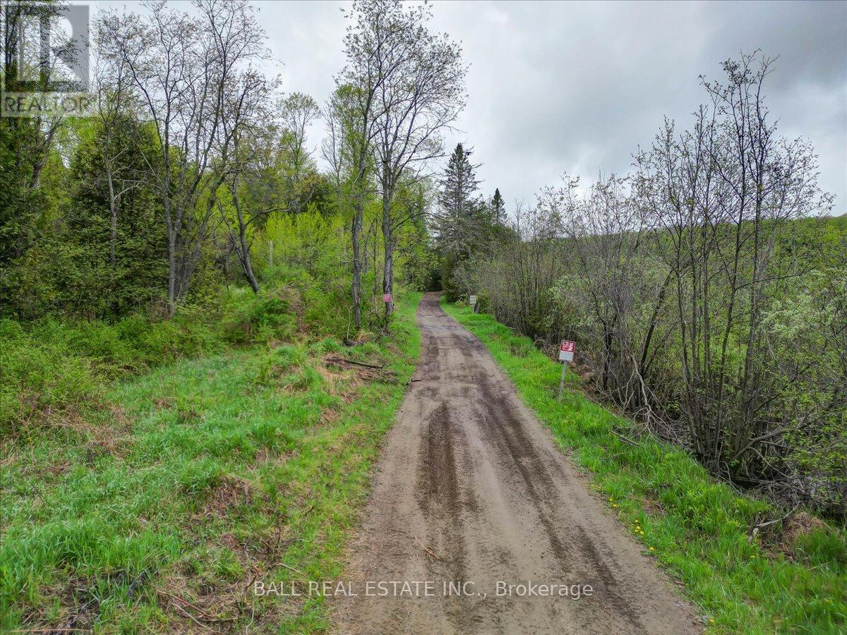0 Part Lot 39 - 40, Limerick, Ontario  K0L 1P0 - Photo 12 - X12129719
