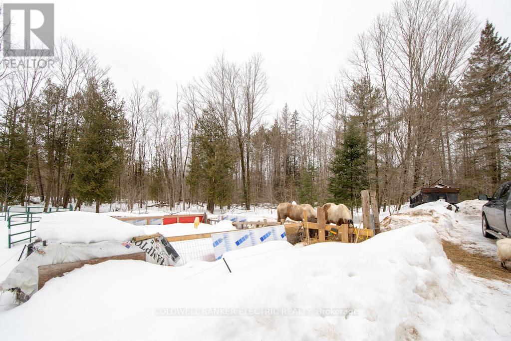 8248 County Road 46 Road, Havelock-Belmont-Methuen, Ontario  K0L 1A0 - Photo 20 - X12131604