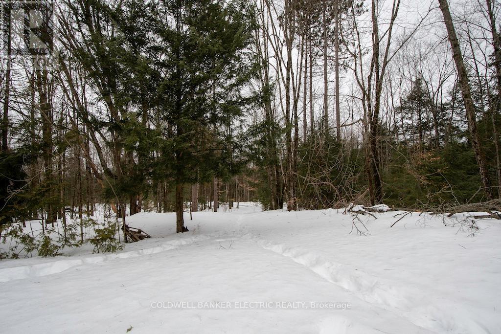 8248 County Road 46 Road, Havelock-Belmont-Methuen, Ontario  K0L 1A0 - Photo 21 - X12131604