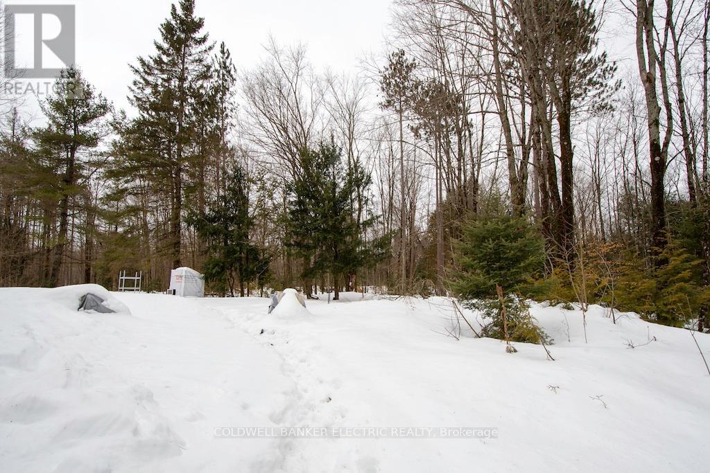 8248 County Road 46 Road, Havelock-Belmont-Methuen, Ontario  K0L 1A0 - Photo 22 - X12131604