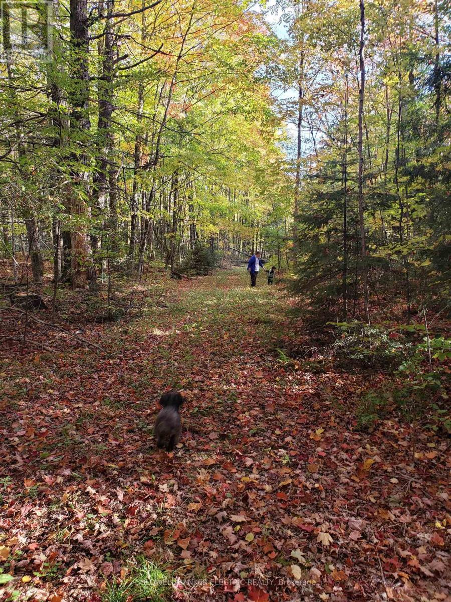 8248 County Road 46 Road, Havelock-Belmont-Methuen, Ontario  K0L 1A0 - Photo 25 - X12131604