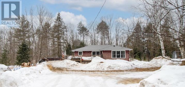 8248 County Road 46 Road, Havelock-Belmont-Methuen, Ontario  K0L 1A0 - Photo 3 - X12131604