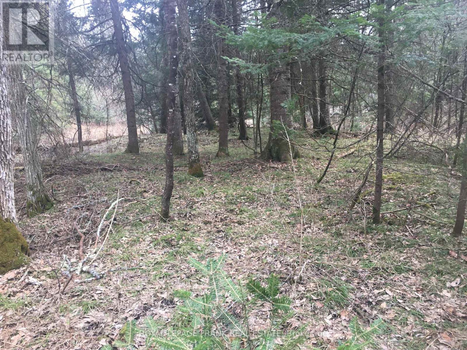 0 Pt Lt 13 Con 8 Road, Wollaston, Ontario  K0L 1A0 - Photo 2 - X12131915