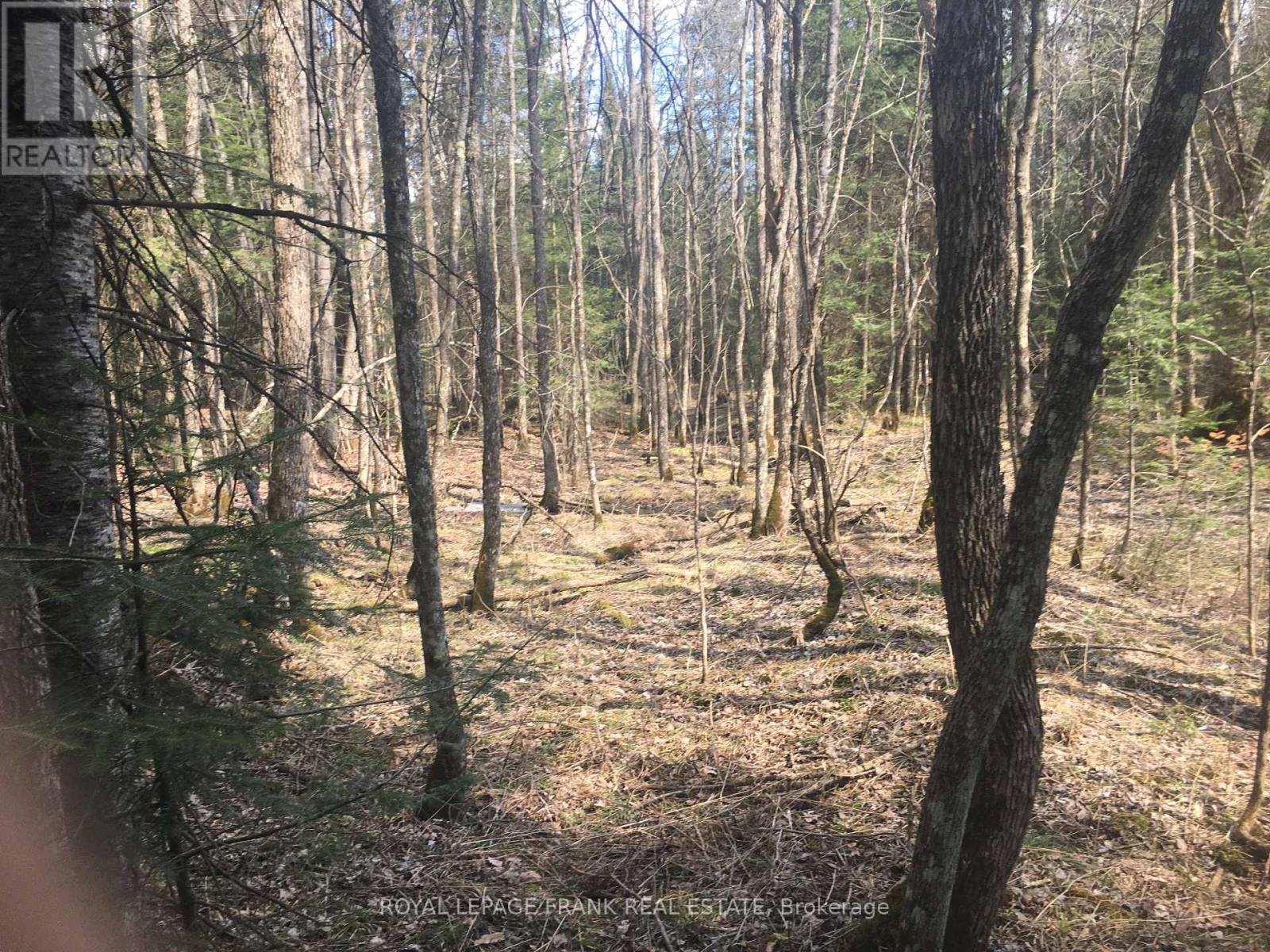 0 Pt Lt 13 Con 8 Road, Wollaston, Ontario  K0L 1A0 - Photo 3 - X12131915