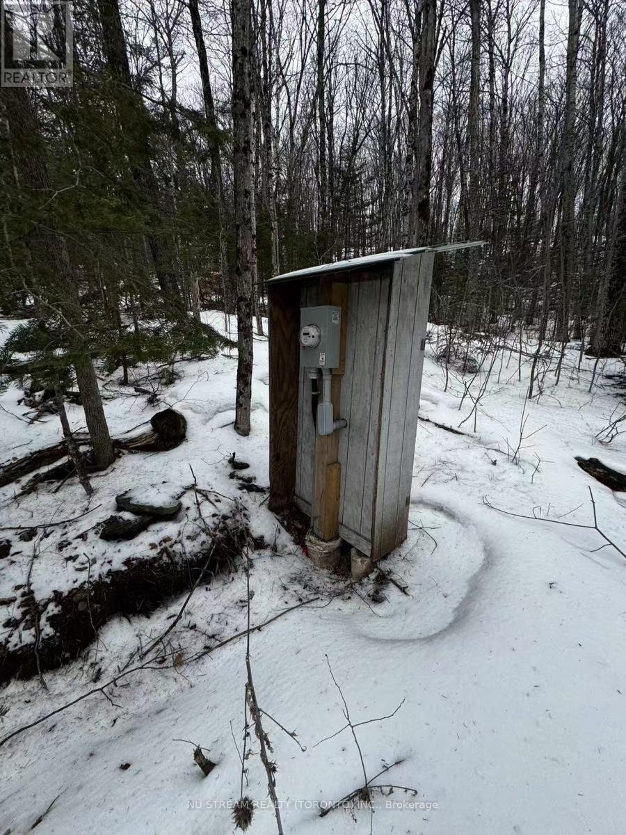 12926 Hwy 28, North Kawartha, Ontario  K0L 2H0 - Photo 4 - X12133191