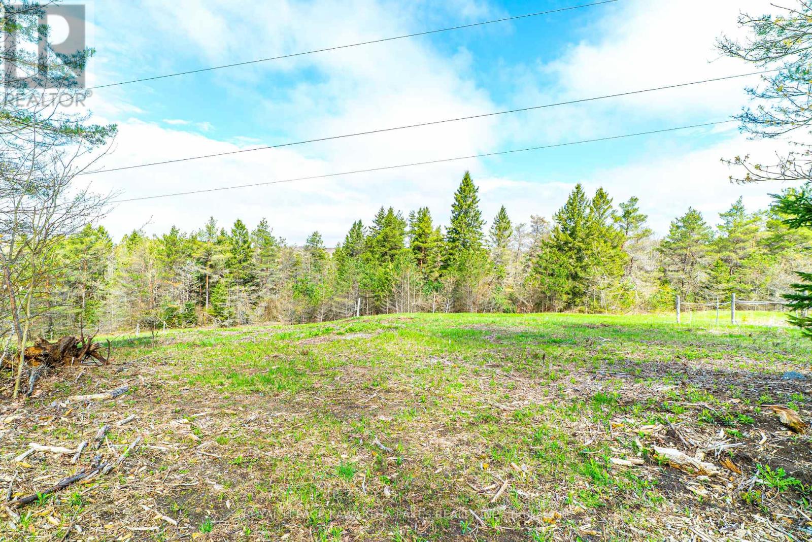 219 Pontypool Road, Kawartha Lakes (Pontypool), Ontario  L0A 1K0 - Photo 46 - X12133453