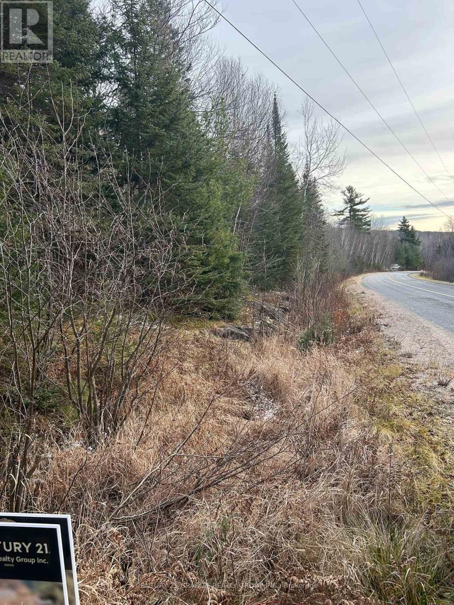 0 Madawaska Road, Hastings Highlands (Mcclure Ward), Ontario  K0L 2S0 - Photo 3 - X12133954