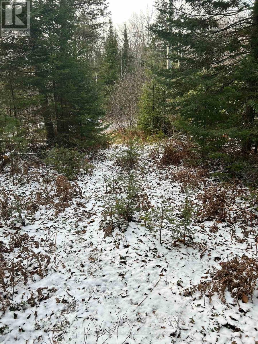 0 Madawaska Road, Hastings Highlands (Mcclure Ward), Ontario  K0L 2S0 - Photo 5 - X12133954