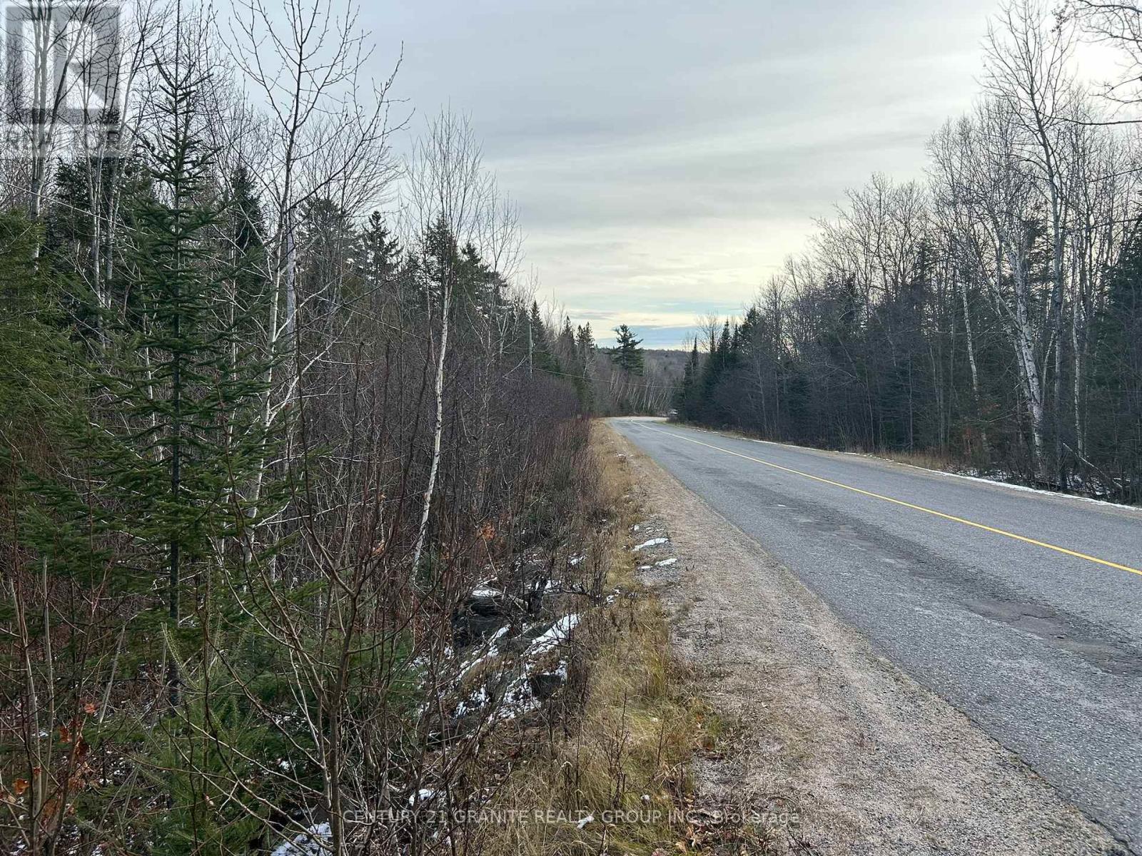 0 Madawaska Road, Hastings Highlands (Mcclure Ward), Ontario  K0L 2S0 - Photo 8 - X12133954