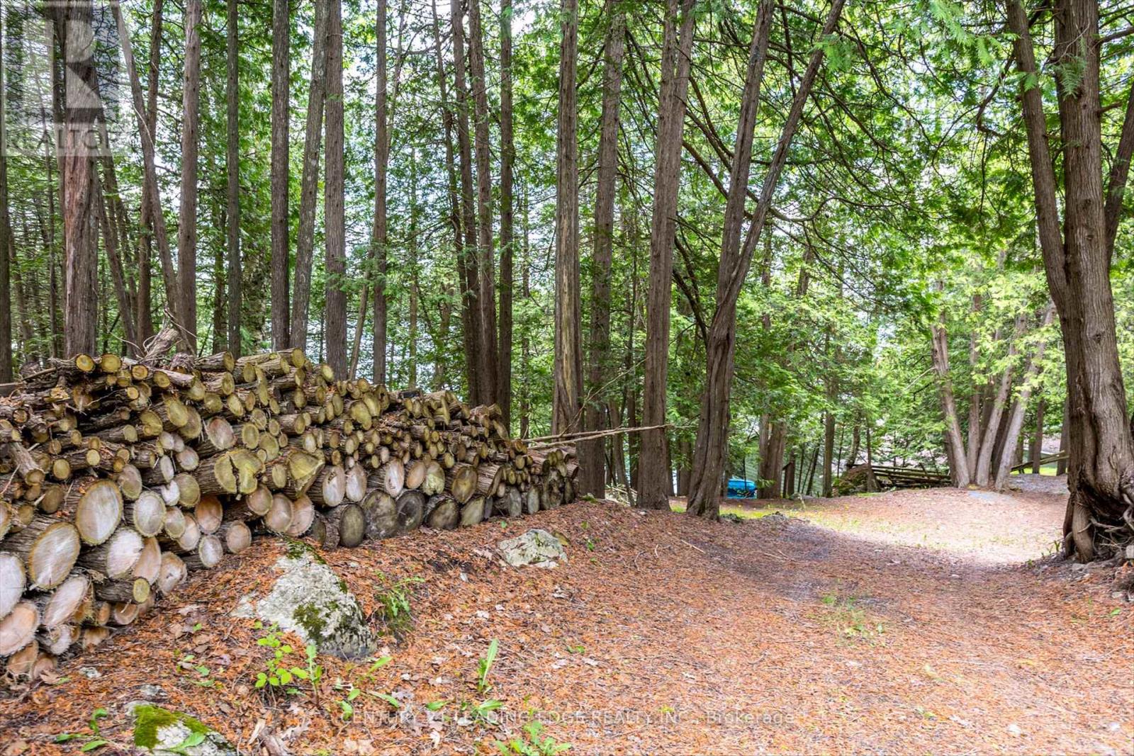1956 White Lake Road E, Douro-Dummer, Ontario  K0L 2H0 - Photo 21 - X12134869