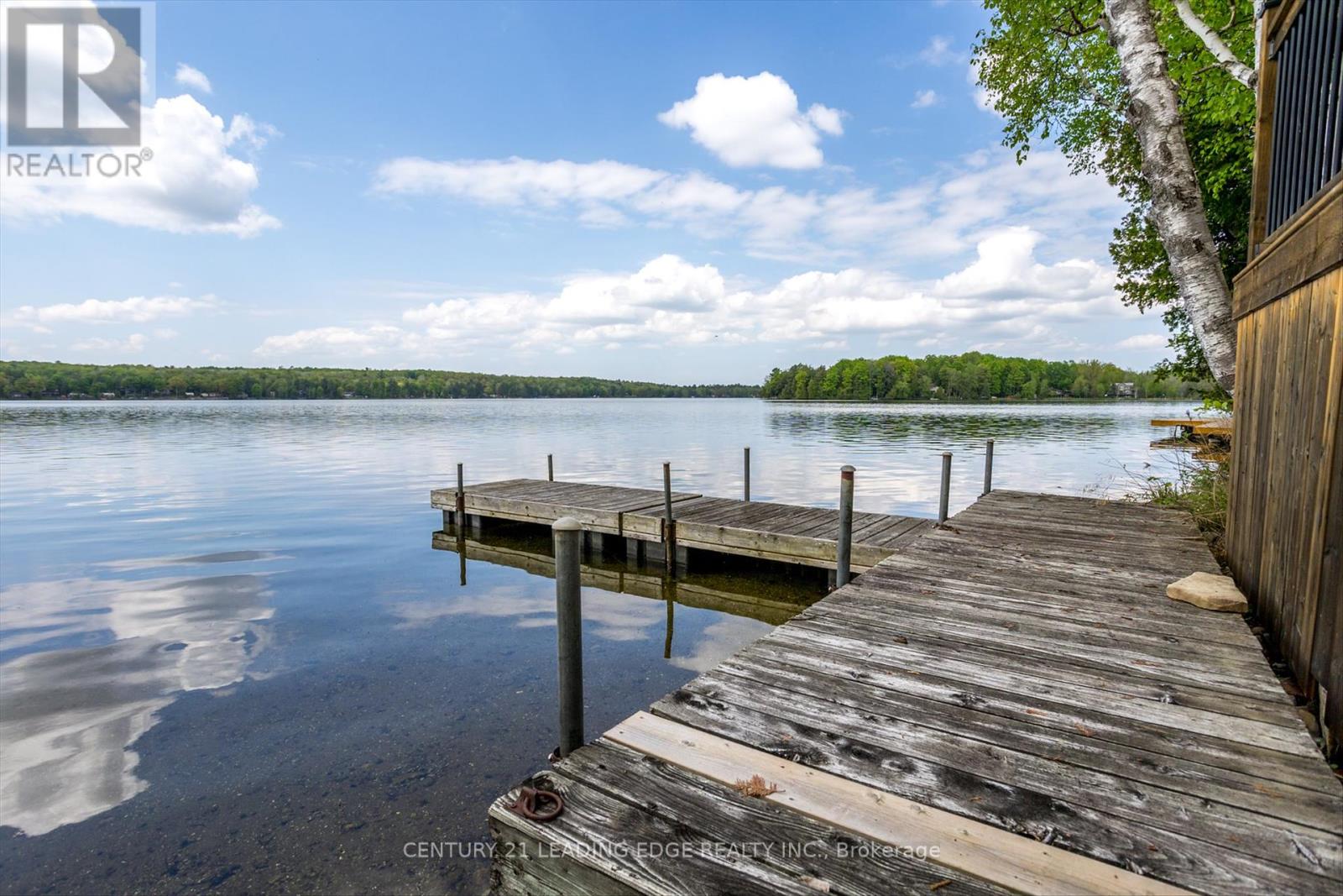 1956 White Lake Road E, Douro-Dummer, Ontario  K0L 2H0 - Photo 34 - X12134869