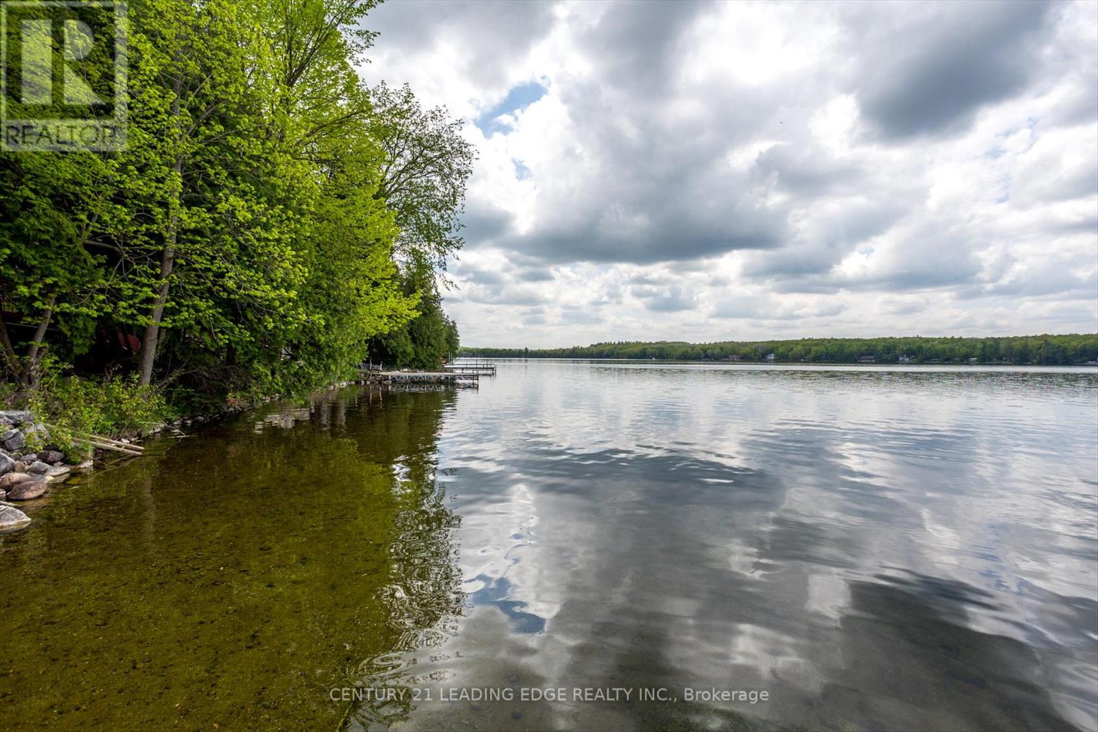 1956 White Lake Road E, Douro-Dummer, Ontario  K0L 2H0 - Photo 37 - X12134869