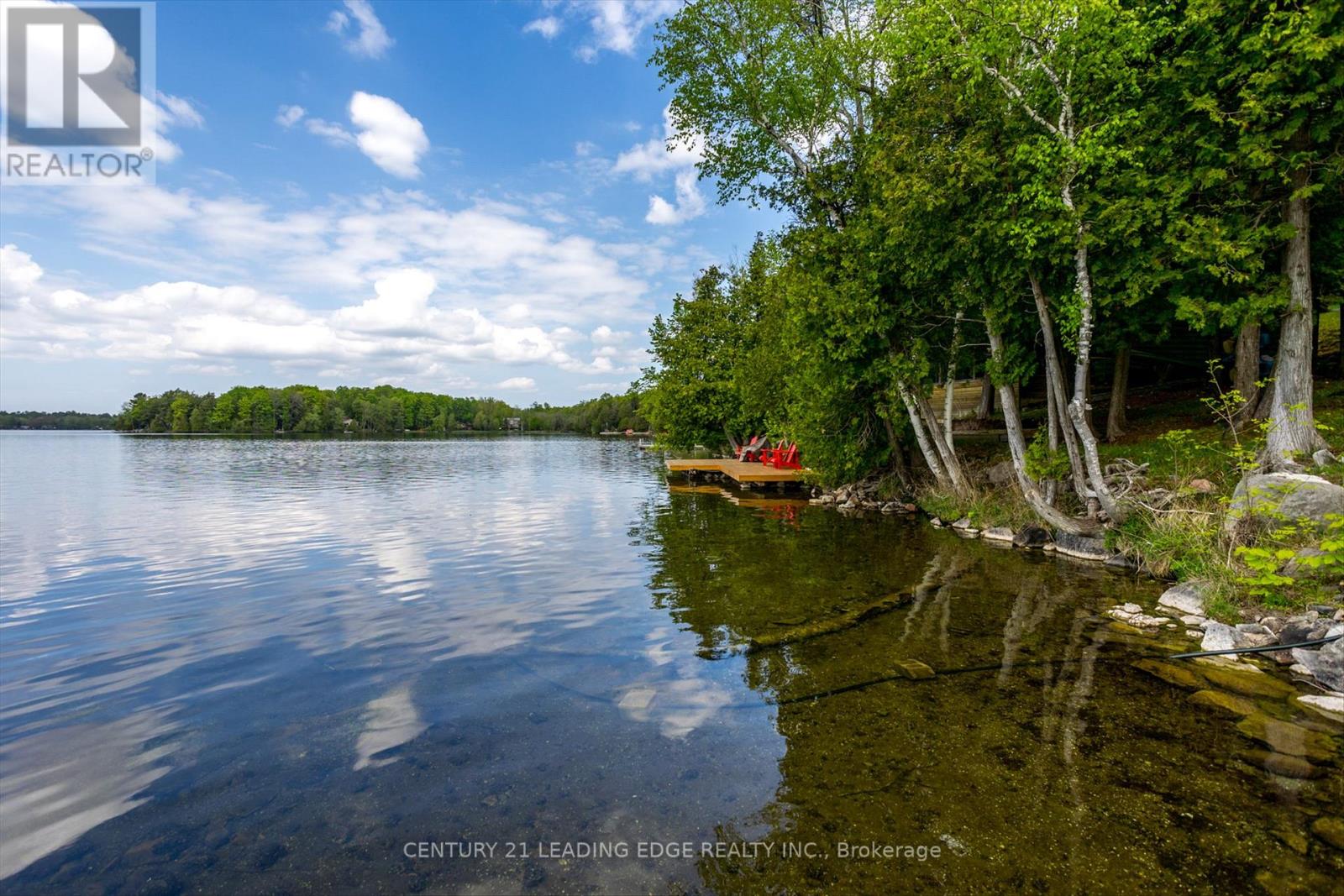 1956 White Lake Road E, Douro-Dummer, Ontario  K0L 2H0 - Photo 38 - X12134869