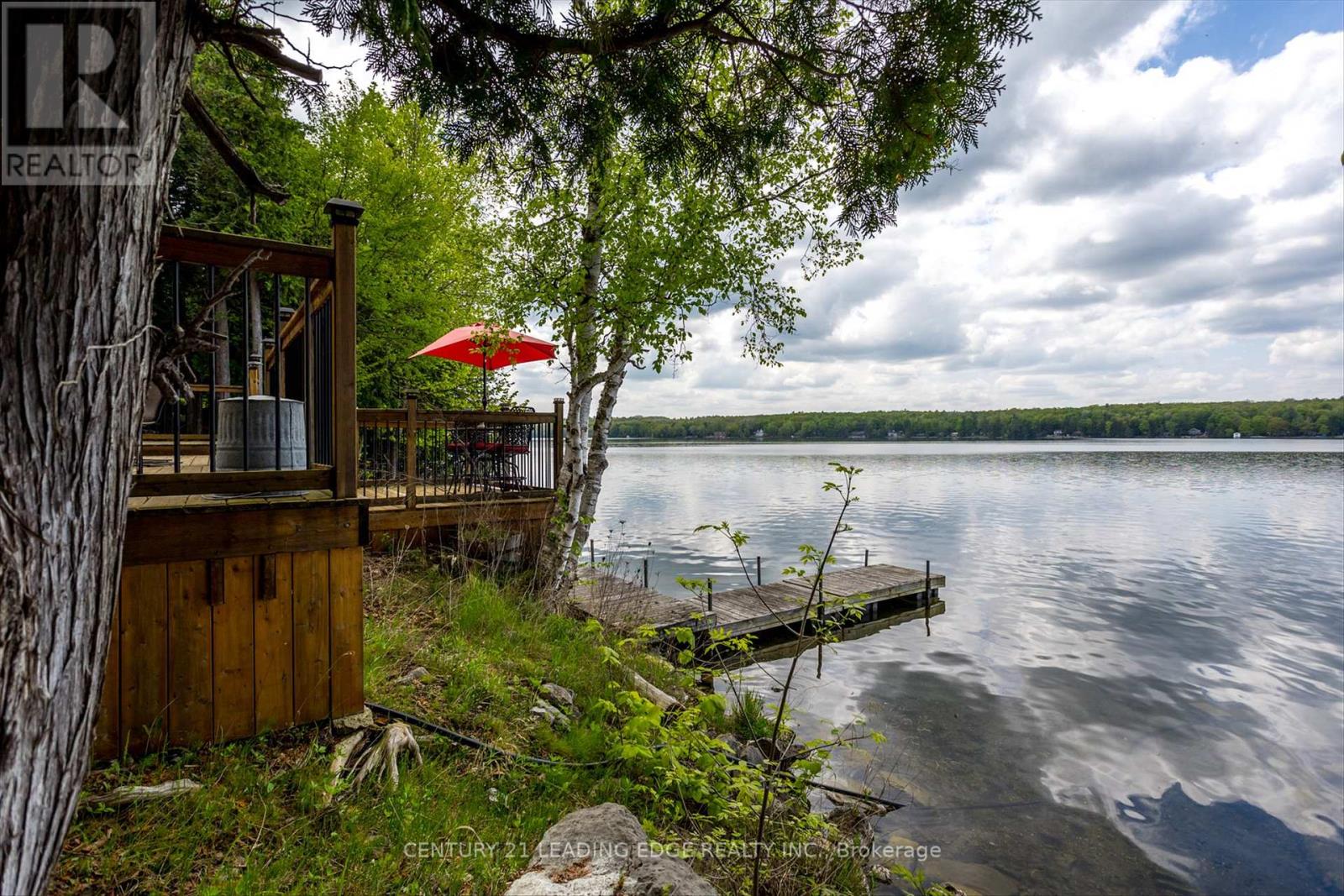 1956 White Lake Road E, Douro-Dummer, Ontario  K0L 2H0 - Photo 39 - X12134869