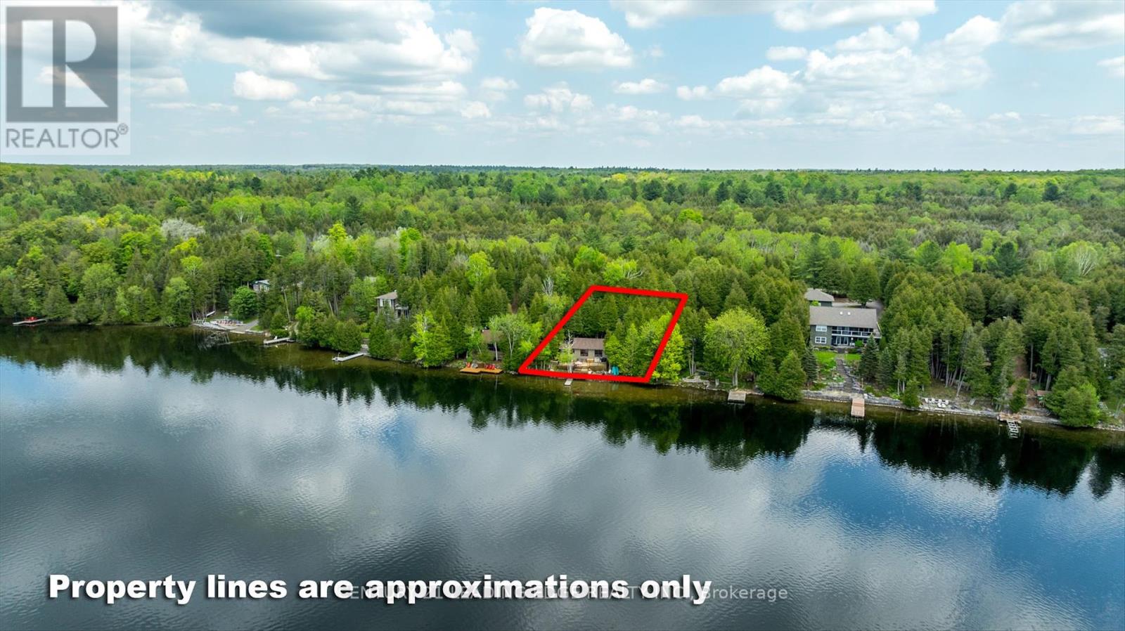 1956 White Lake Road E, Douro-Dummer, Ontario  K0L 2H0 - Photo 40 - X12134869