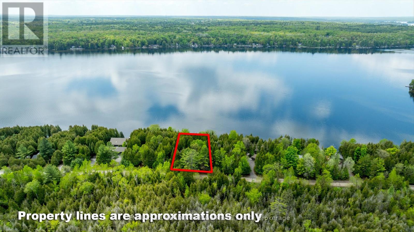 1956 White Lake Road E, Douro-Dummer, Ontario  K0L 2H0 - Photo 50 - X12134869