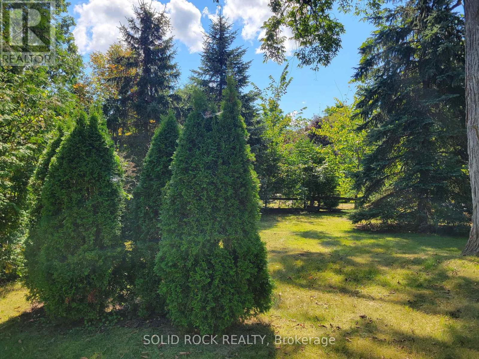 50 Canal Road, Trent Hills (Campbellford), Ontario  K0L 1L0 - Photo 36 - X12134930