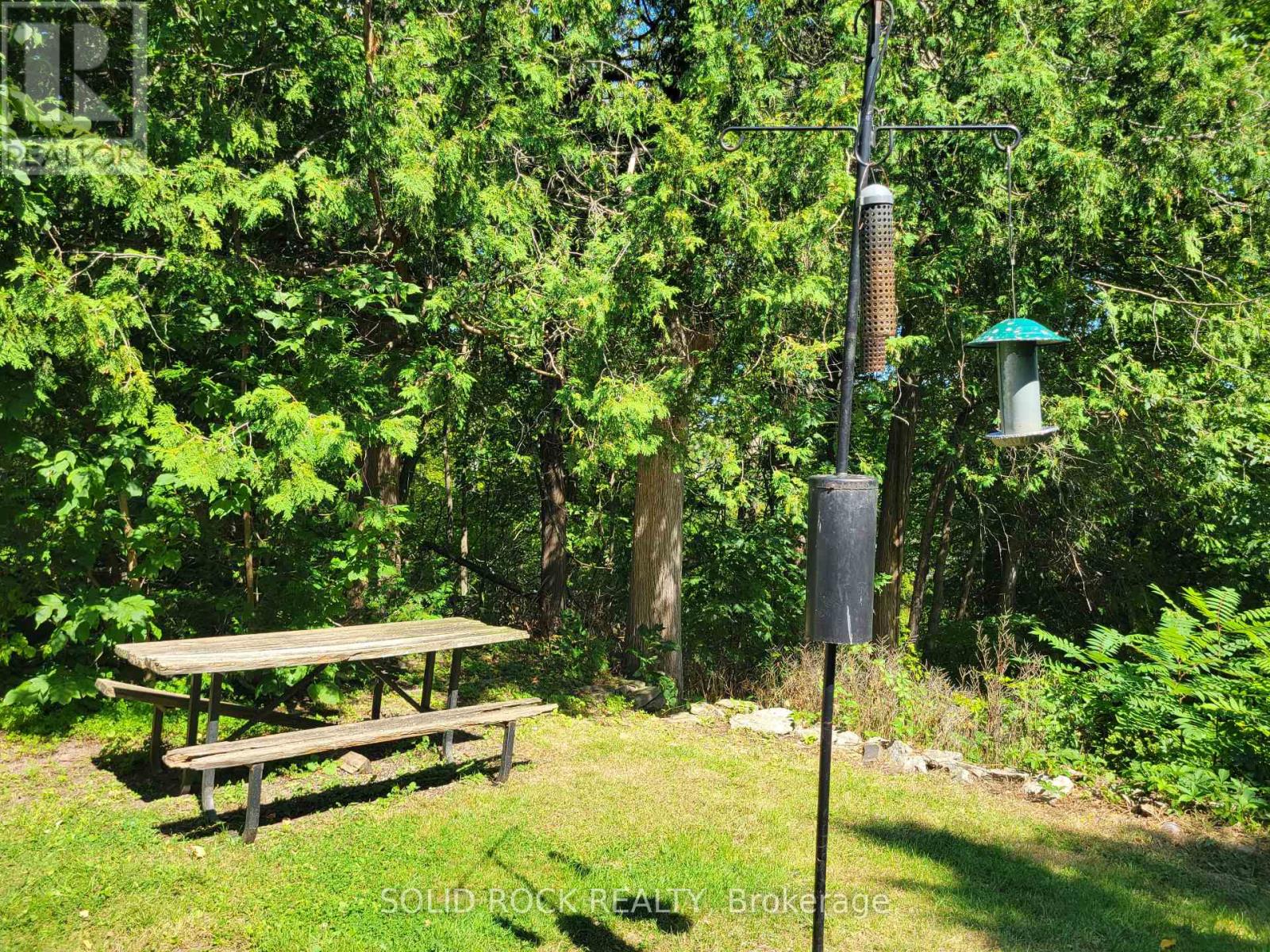 50 Canal Road, Trent Hills (Campbellford), Ontario  K0L 1L0 - Photo 41 - X12134930