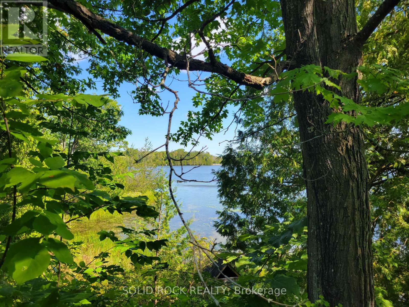 50 Canal Road, Trent Hills (Campbellford), Ontario  K0L 1L0 - Photo 42 - X12134930
