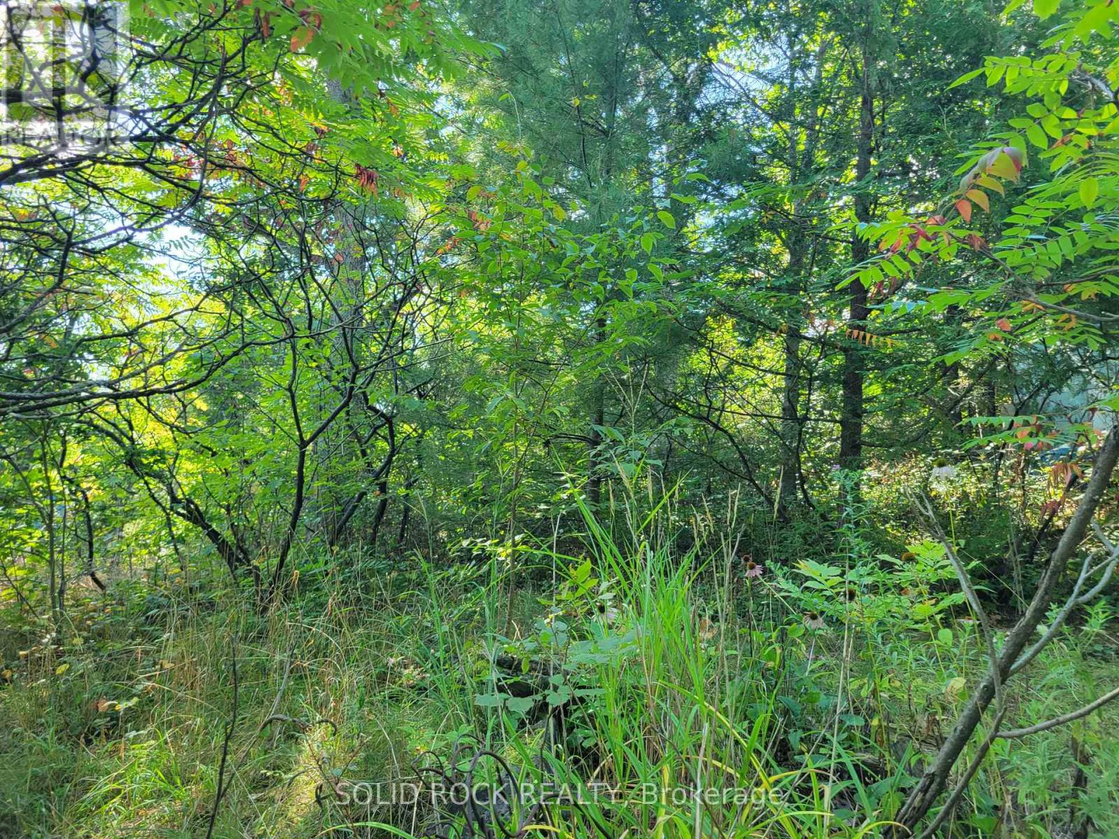 50 Canal Road, Trent Hills (Campbellford), Ontario  K0L 1L0 - Photo 45 - X12134930