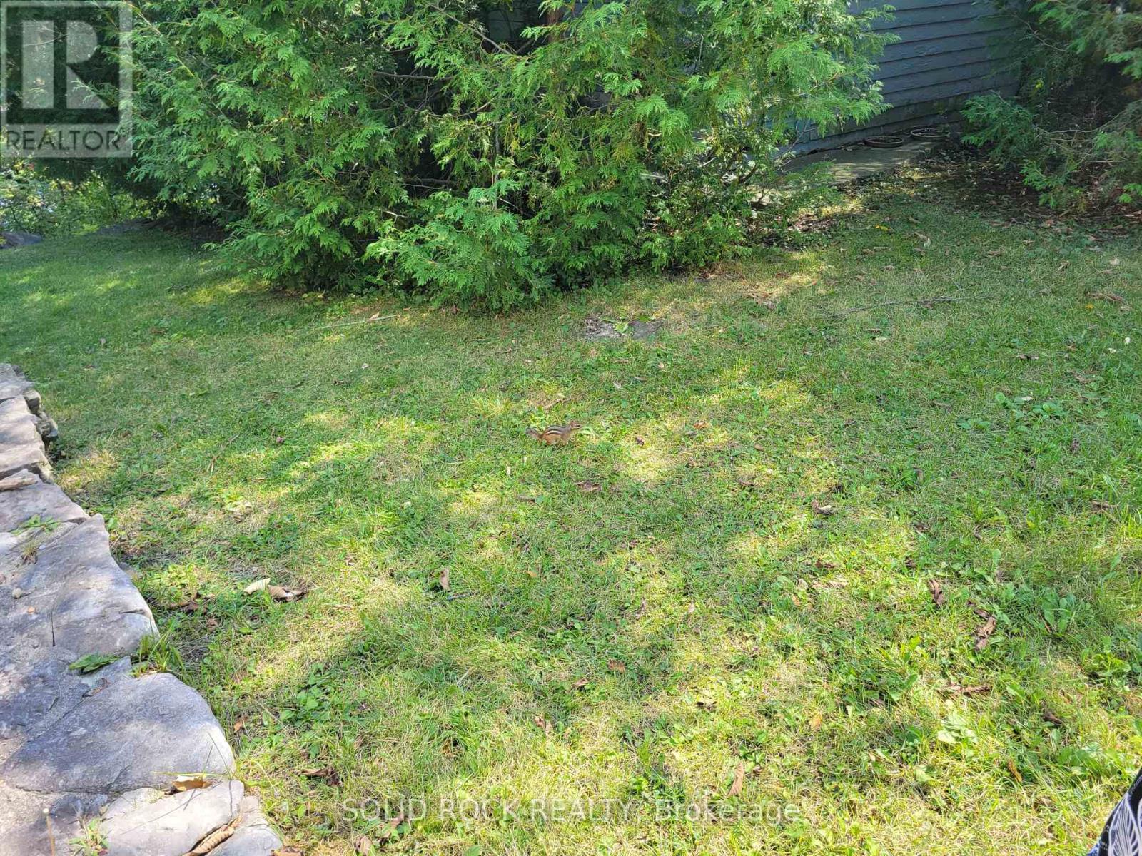 50 Canal Road, Trent Hills (Campbellford), Ontario  K0L 1L0 - Photo 47 - X12134930