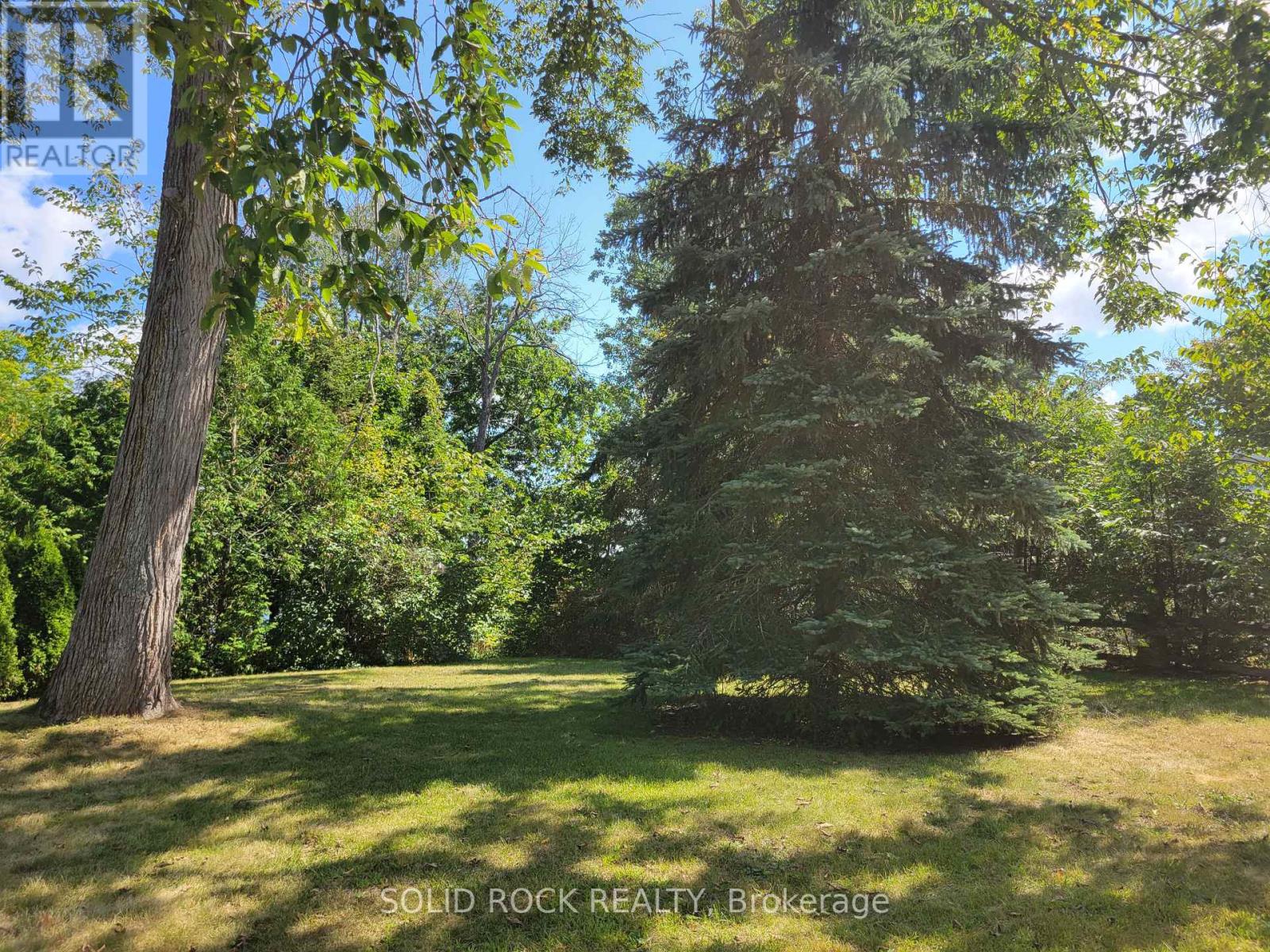 50 Canal Road, Trent Hills (Campbellford), Ontario  K0L 1L0 - Photo 50 - X12134930