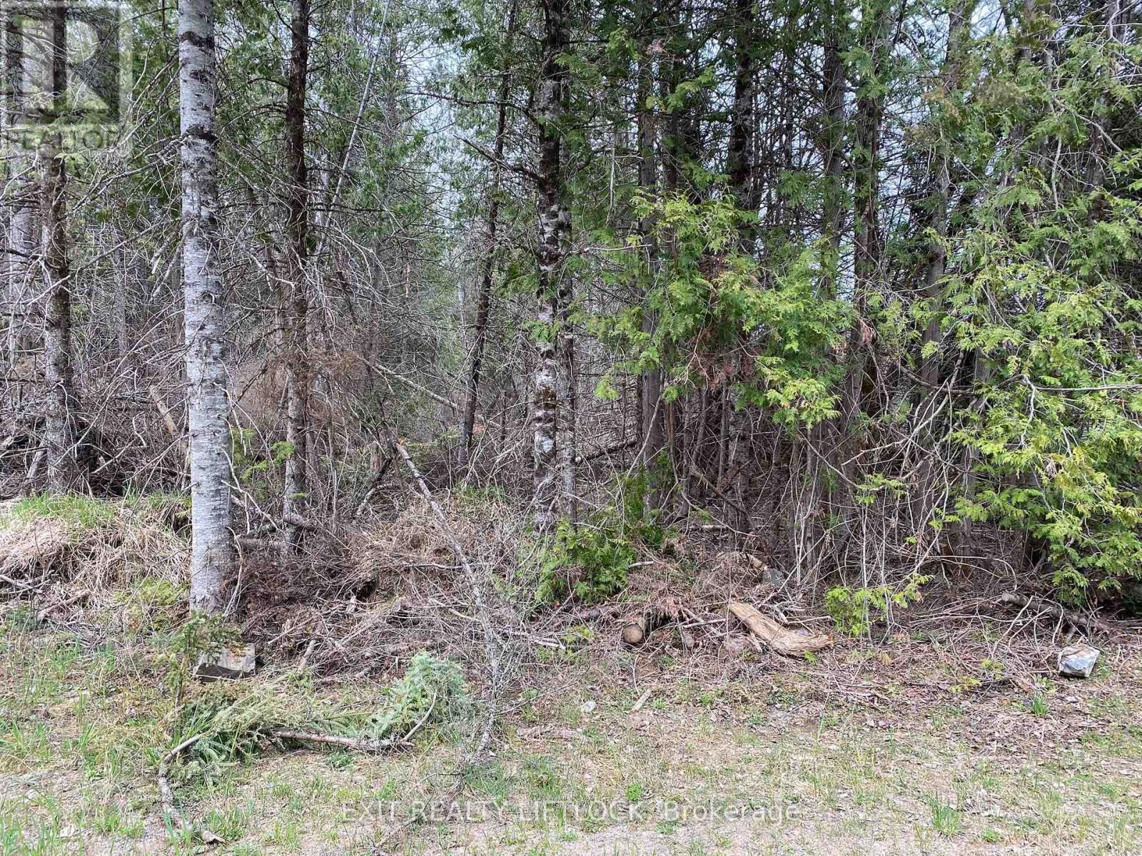 3458 Old Hastings Road, Wollaston, Ontario  K0L 1P0 - Photo 3 - X12136514